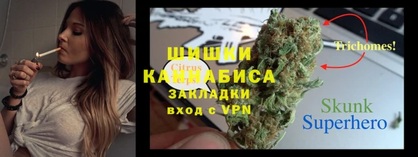 ПСИЛОЦИБИНОВЫЕ ГРИБЫ Белокуриха