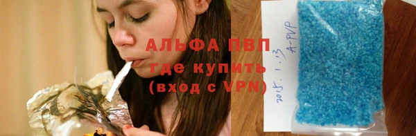 ПСИЛОЦИБИНОВЫЕ ГРИБЫ Белокуриха