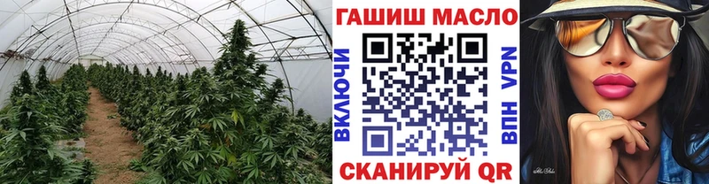 гидра как войти  где можно купить наркотик  Среднеуральск  Дистиллят ТГК гашишное масло 