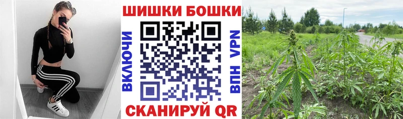 Бошки марихуана OG Kush  Среднеуральск 